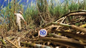 EU vuelve a la carga: exige a RD acciones contra abusos a cañeros