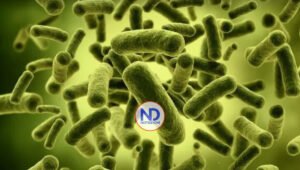 ¿Cómo reconocer los síntomas del cólera?