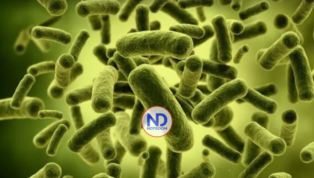 ¿Cómo reconocer los síntomas del cólera?