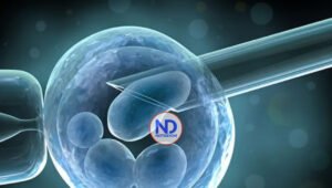 ¿Qué es la fecundación in vitro?