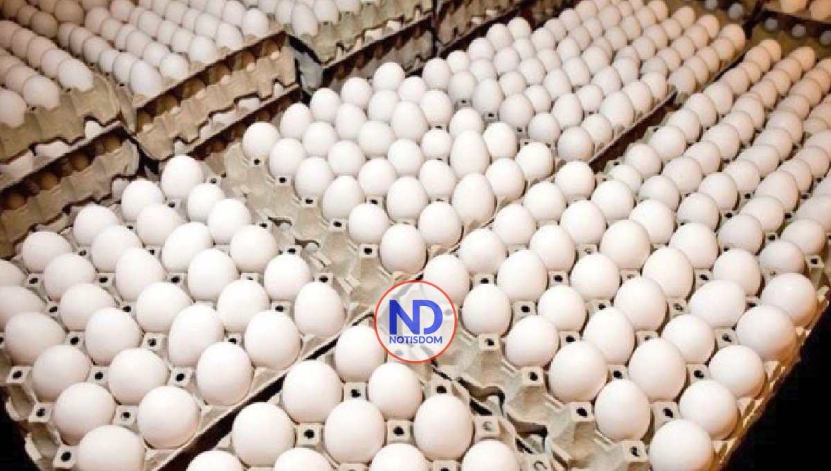 Deploran medida que suspende exportación huevos hacia Haití