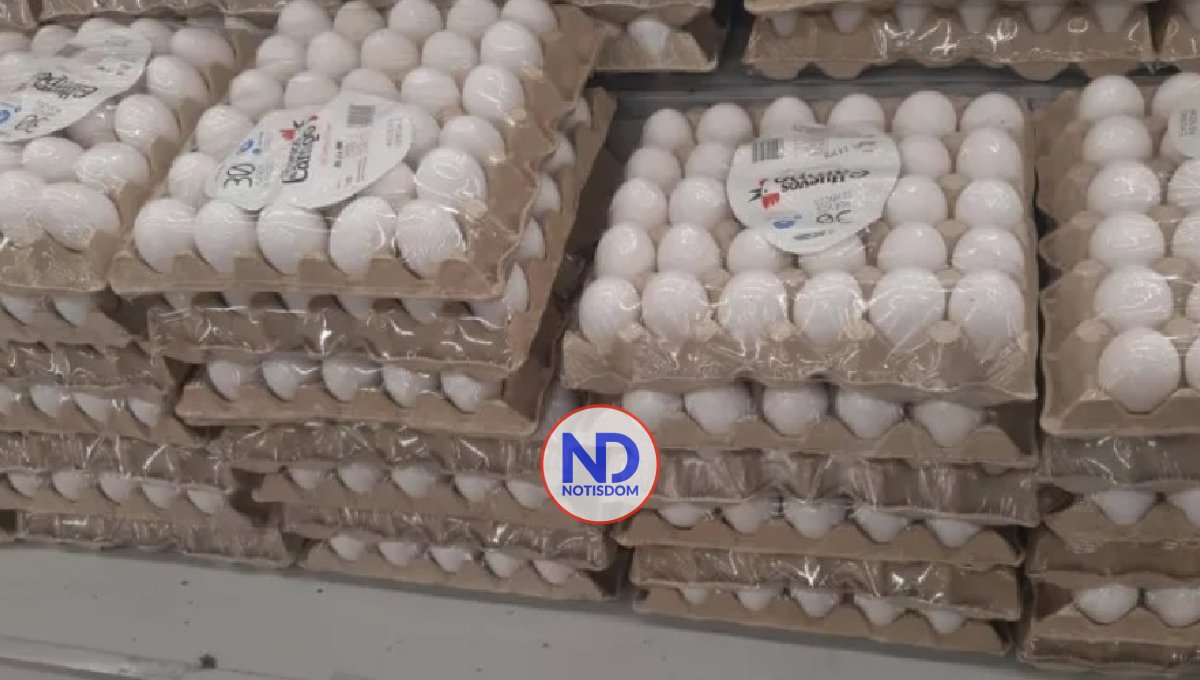 El Gobierno de la RD suspende la exportación huevos hacia Haití