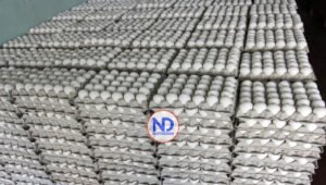 Gobierno levanta restricción de exportación de huevos