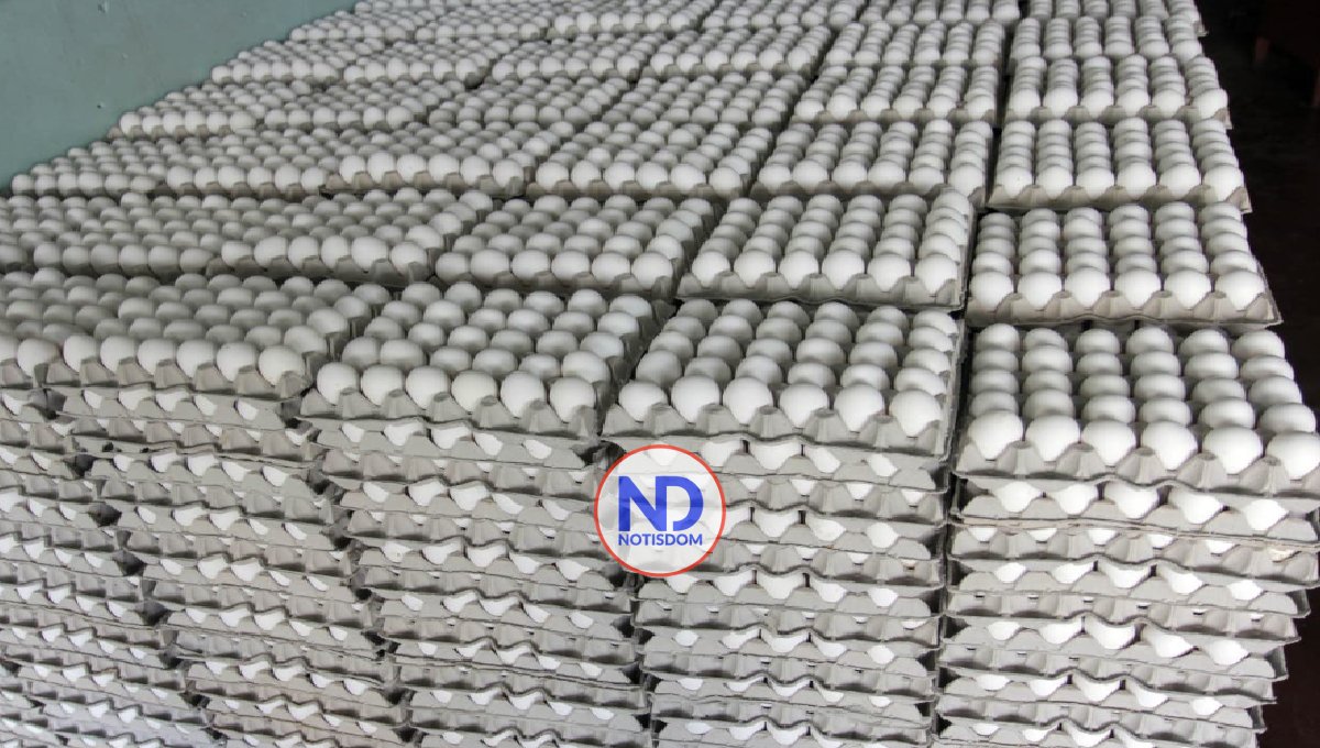 Gobierno levanta restricción de exportación de huevos 2 Gobierno levanta restricción de exportación de huevos