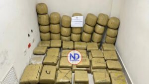 La DNCD allana casa y ocupa 573 libras de marihuana