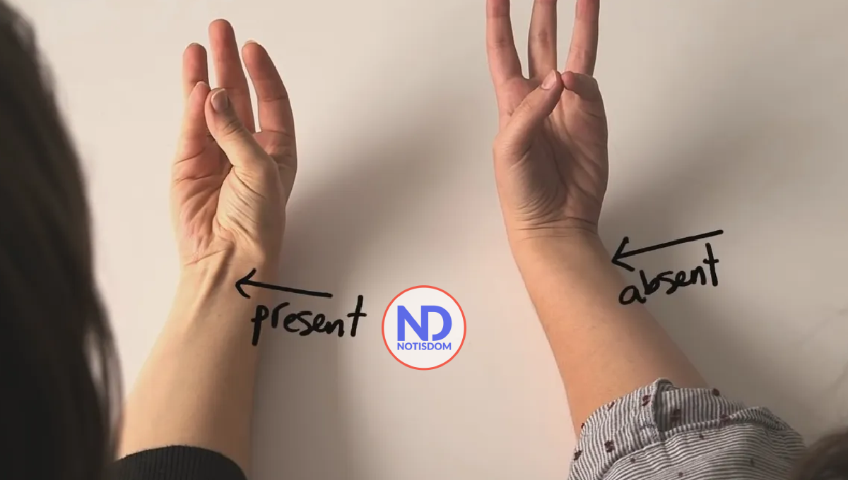 Algunas pruebas de la evolución humana que podemos encontrar en nuestro cuerpo