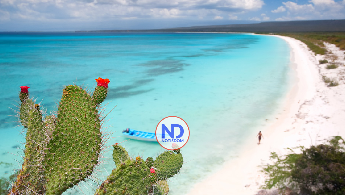 Gobierno responde al PLD y garantiza que Bahía de las Águilas seguirá como área protegida