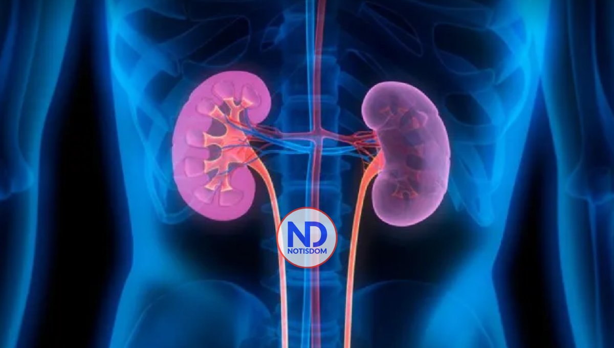 Presentan nuevo medicamento retrasa avance del daño renal en personas con diabetes tipo 2