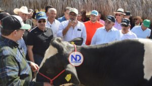 Fernando Durán resalta avance de la ganadería de leche en Santiago Rodríguez