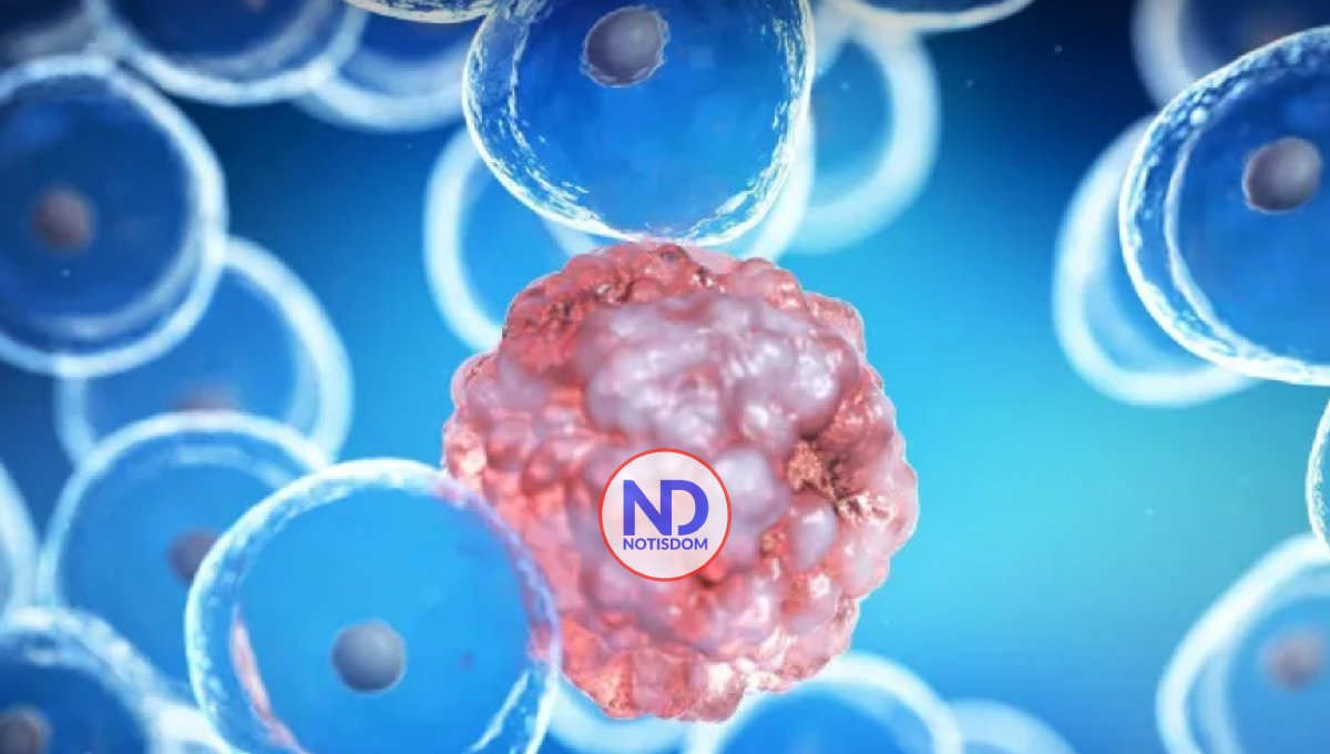 Científicos descubren por qué fracasan algunos compuestos antitumorales