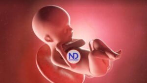 «Si no es Dios, ¿por qué quiere abortar?», las barreras persisten en Colombia