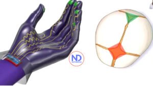 Diseñan un guante inteligente con sensores que facilita los partos