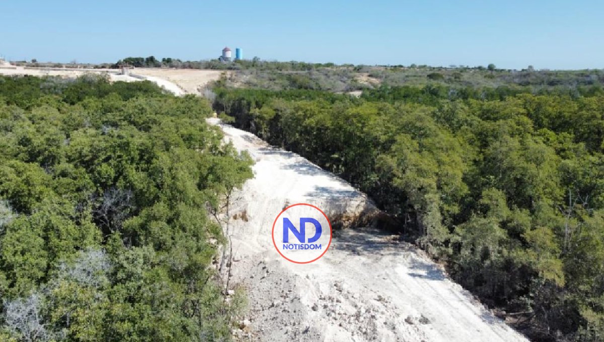 Medio Ambiente ordena paralizar los trabajos del muro fronterizo