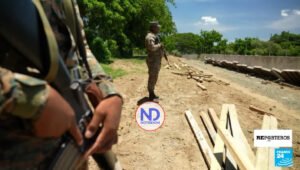 Denuncian obras muro fronterizo están destruyendo manglares RD