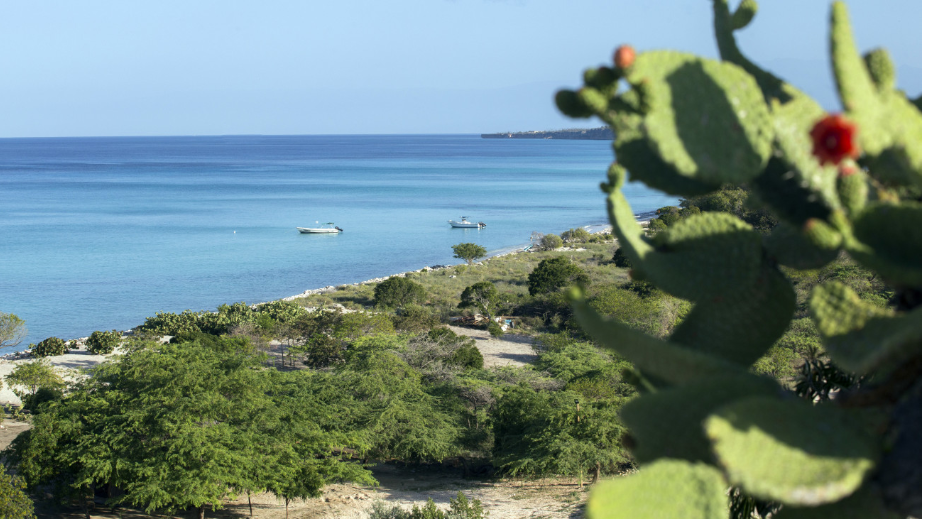 Infotep prepara trabajadores para proyecto Pedernales-Cabo Rojo 4 PEDERNALES 6 Infotep prepara trabajadores para proyecto Pedernales-Cabo Rojo