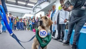 Una perra da afecto a pacientes en rehabilitación de un hospital de Florida