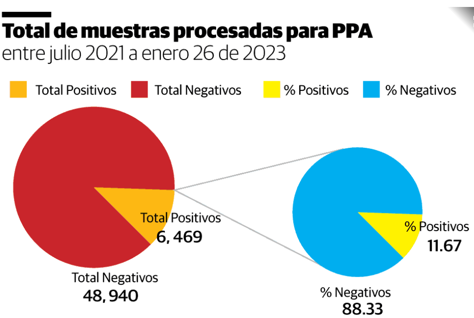 Casos de peste porcina africana disminuyen en RD, según informe 4 peste porcina Casos de peste porcina africana disminuyen en RD, según informe