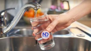 Muere hombre en Florida por infección de ameba «comecerebros» con agua grifo