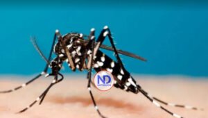 Salud Pública emite alerta ante propagación de la chikungunya