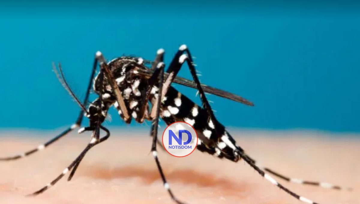 Salud Pública emite alerta ante propagación de la chikungunya