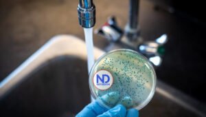 Autoridades informan de tres nuevos casos de cólera en la RD