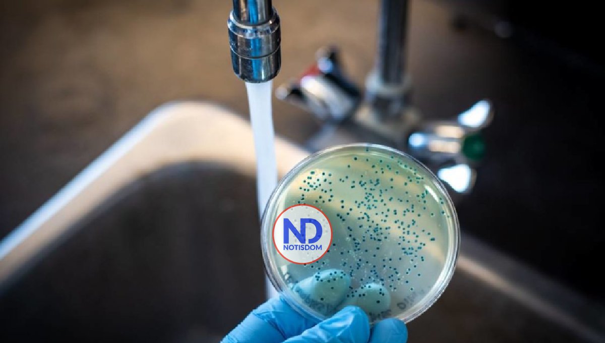 Autoridades informan de tres nuevos casos de cólera en la RD