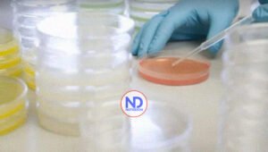 Autoridades confirman primer caso de cólera en Capotillo