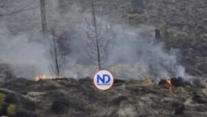 Incendio forestal que afecta Valle Nuevo recobra fuerza