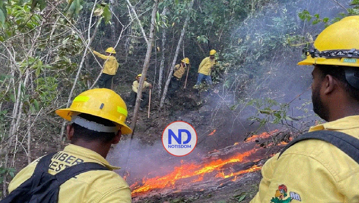 Medio Ambiente reporta 14 fuegos forestales activos en distintos puntos del país