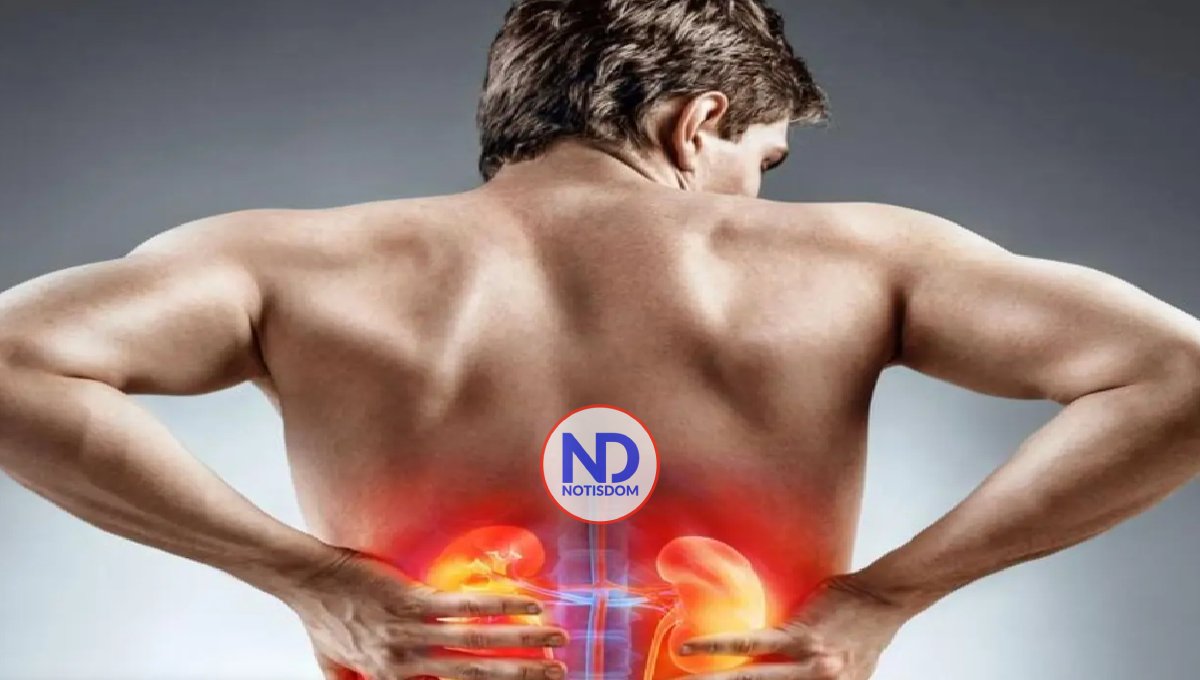 Hoy es el Día Mundial del Riñón