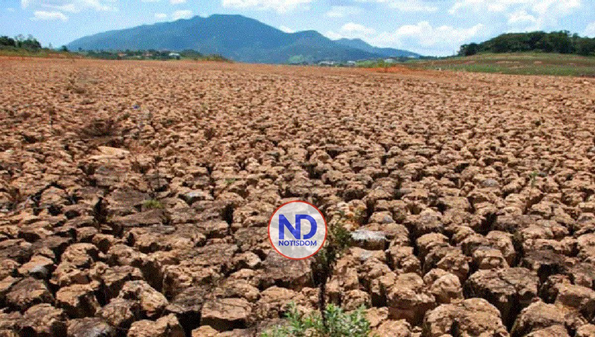 La producción agrícola ha sido afectada en un 12 % por la sequía