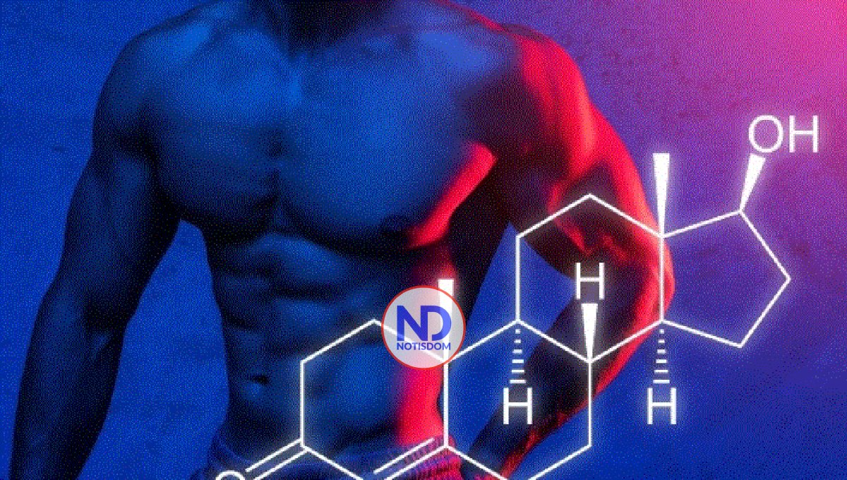 ¿Qué es la testosterona? ¿Qué hacer para aumentar su nivel?