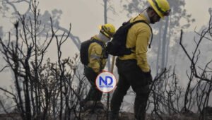 Valle Nuevo afectado por mayor incendio de los últimos 10 años