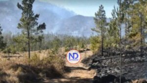 Imponen garantía económica de un millón de pesos a hombre provocó incendio en Valle Nuevo