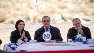 Abinader pide acción «contundente» contra responsables incendios forestales