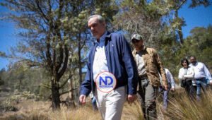 Gobierno dominicano reforestará zonas afectadas por los incendios