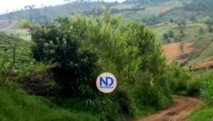 Turismo inicia reconstrucción acceso carretera Aguas Blancas