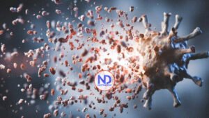 Suben a 15 los casos confirmados en el brote de Marburgo en Guinea Ecuatorial