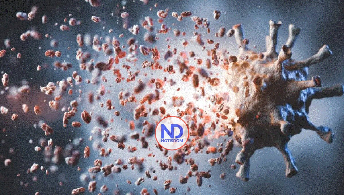 Suben a 15 los casos confirmados en el brote de Marburgo en Guinea Ecuatorial