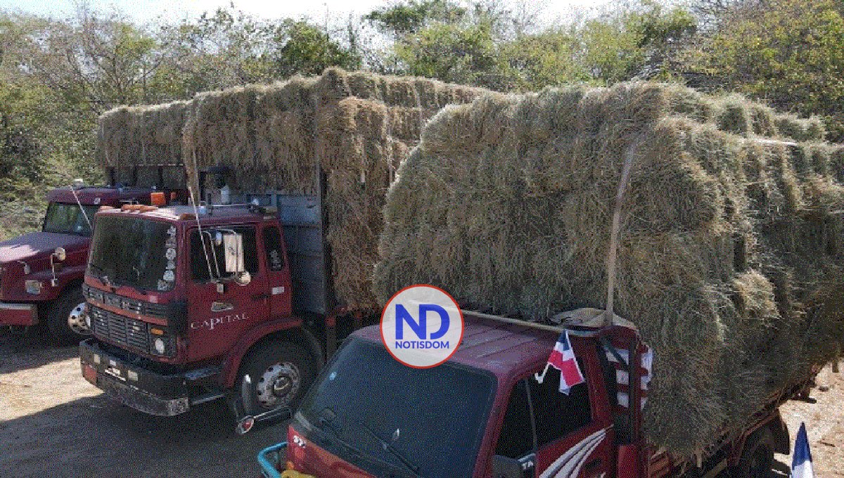 Ganaderos agradecen apoyo del Gobierno durante la actual sequía