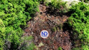 PC urge autoridades RD «pongan atención a destrucción cordillera»