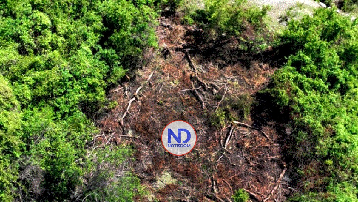 PC urge autoridades RD «pongan atención a destrucción cordillera»