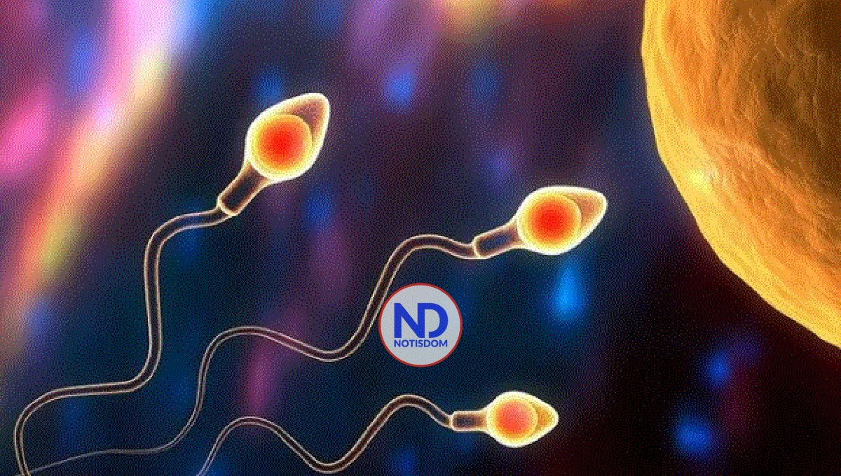 Hallan un gen que podría ser clave como anticonceptivo masculino