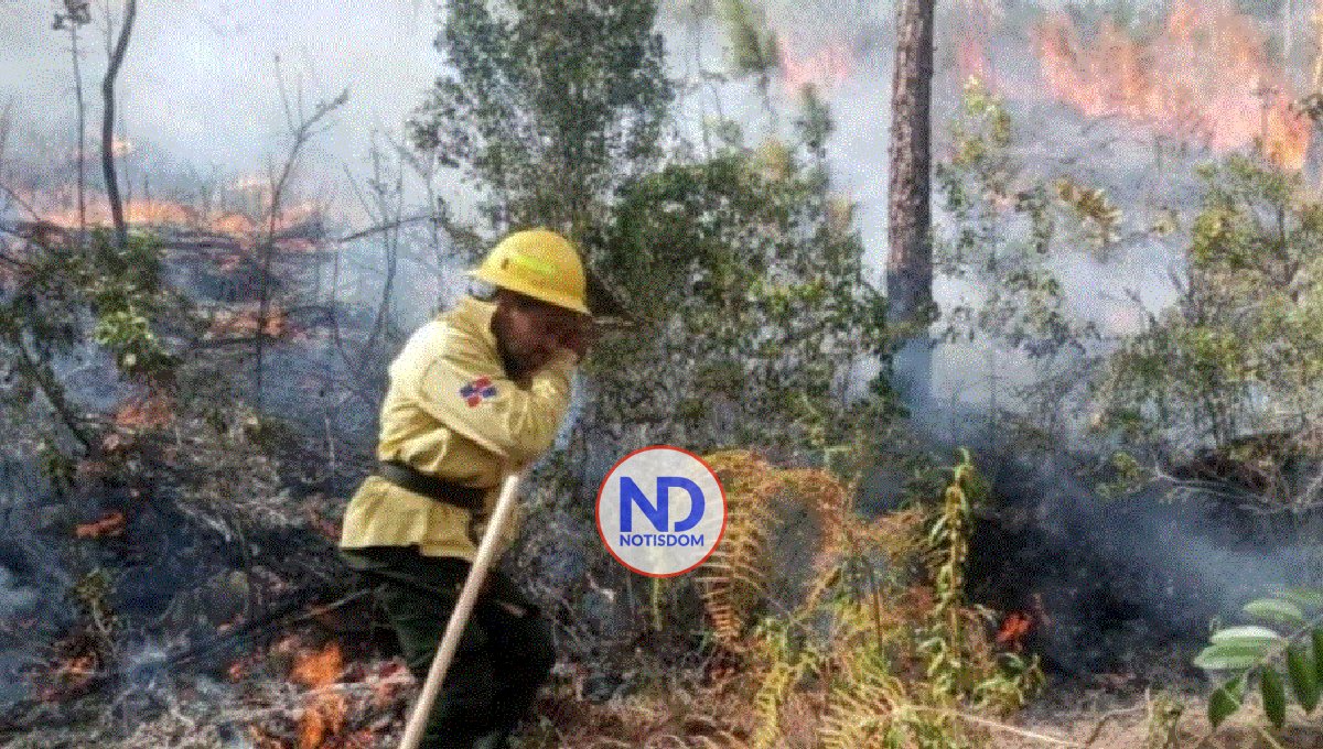 Se reducen a 8 fuegos forestales activos en RD