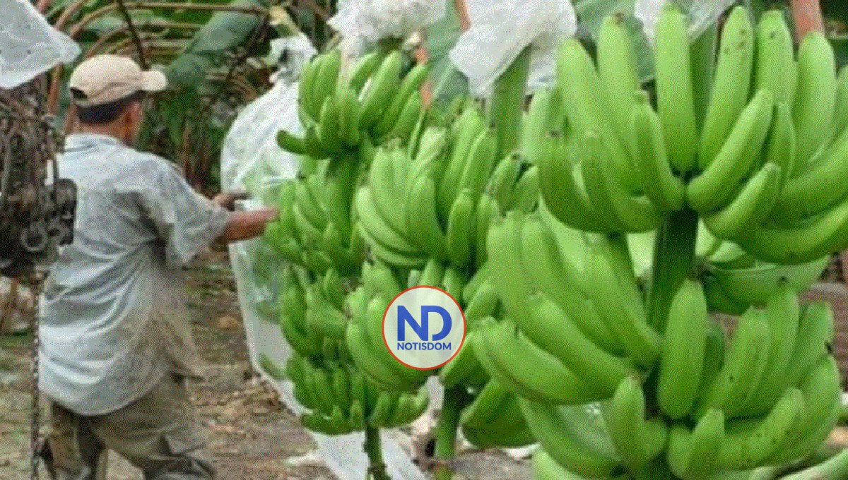 Gobierno dice comenzó el rescate de proyecto La Cruz de Manzanillo