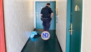 Dominicana fue asesinada por expareja en presencia de sus hijos