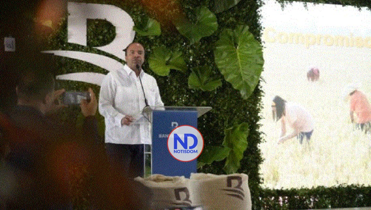 BR dispone RD$10,000 millones para financiar cosecha de arroz