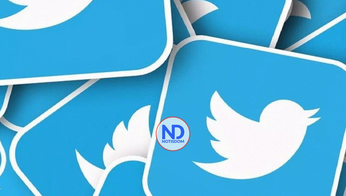 La metamorfosis de Twitter en el año transcurrido bajo la sombra de Elon Musk