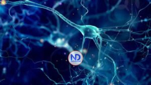 Una rara variante genética se asocia a más resistencia ante un tipo de alzhéimer