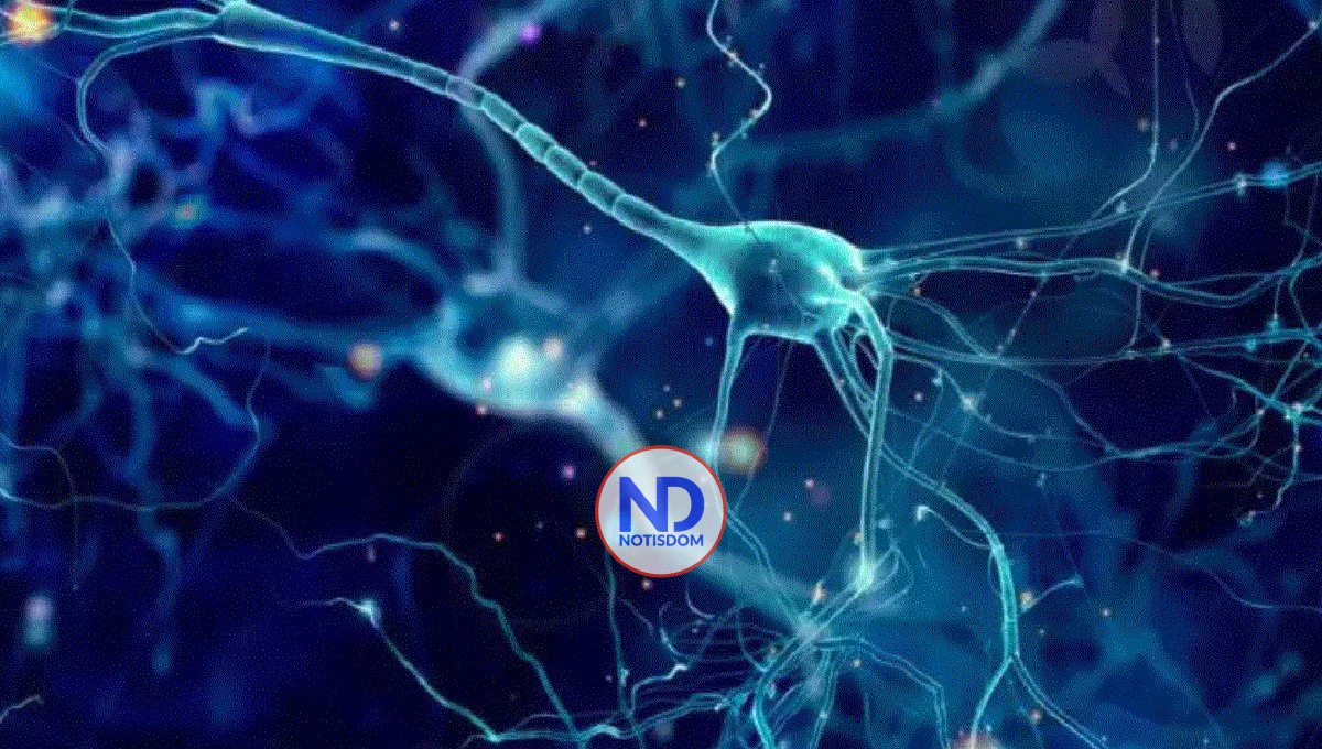 Una rara variante genética se asocia a más resistencia ante un tipo de alzhéimer